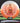 Innova Rat CryZtal Orange-White/Gold/Magenta 168.0g