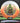 Innova Rat CryZtal Orange-White/Lime 168.0g