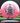 Innova Rat Pink-White/Black-Silver Shatter 169g