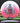 Innova Rat Pink-White/Red-Teal 169.9g