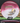 Innova Roadrunner Halo Star White-Plum/Black-Gold 175.6g