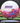 Innova Roadrunner Halo Star White-Plum/Blue-Red 174.6g