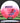 Innova Roadrunner Pink/White/Red/Blue 174.8g