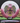 Innova Thunderbird Maroon-White/Green/Black 162.8g