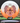 Innova Thunderbird White/Orange/Lilac/Brown 171.2g