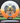 Innova Thunderbird White/Orange/Teal/Black 175.9g