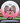 Innova Thunderbird White/Pink/Gold Shatter/Black 172.4g