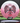 Innova Thunderbird White/Pink/Red Shatter/Black 174.6g