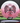 Innova Thunderbird White/Pink/Red Shatter/Silver 173.4g