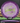 Innova Wraith Halo Star White-Purple/Olive 176g