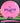 Latitude 64 Ballista Pro Gold Pink/Purple 175.4g