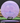 Latitude 64 Grace Purple Swirl/Lilac 171.1g