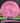 Latitude 64 Grace ROYAL Grand Bubble Gum/Rose Gold 176.1g