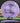 Latitude 64 Grace ROYAL Grand Purple Swirl /Purple 174.5g