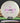 Latitude 64 Musket Gold White/Purple 175.4g