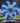 Meridian Discs Current Blue-White/Gold 176g