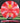 Meridian Discs Current ESP Red And White/Gold 173.3g