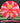 Meridian Discs Current ESP Red And White/Gold 174.4g