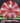 Meridian Discs Current Red-White/Silver 175g