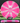 Meridian Discs Mojave Pink-White/Silver 174g