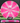Meridian Discs Mojave Pink-White/Silver 174g