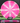 Meridian Discs Mojave Z Line Pink/White/Silver 174g