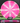 Meridian Discs Mojave Z Line Pink/White/Silver 174g