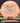 Mint Discs Sublime Pizza Sublime Orange/Blue-Camo 173g