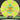 Mint Discs Swirly Apex Salamander