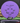 MVP Anode Electron purple 174.7g