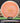 MVP Control Neutron peach 173.4g