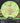 MVP Entropy Cosmic Neutron Lime Green-Black/Black 174.5g