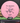 MVP Entropy Pink/Black 173g