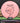 MVP Ion pink 157.8g