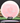 MVP Ion pink-white 174g