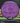 MVP Motion Neutron purple 169.8g