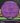 MVP Motion Neutron purple 170.1g