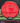 MVP Motion Neutron red 160g