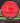 MVP Motion Neutron red 173.4g