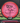 MVP Octane Proton Pink/Black 174g