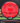 MVP Relativity Neutron red 175.2g
