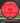 MVP Relativity Neutron red 175.5g