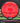 MVP Relativity Neutron red 175.5g