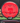 MVP Relativity Neutron red 176.2g
