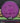 MVP Resistor Neutron Purple/Black 167g