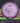 MVP Volt Proton Purple 174.2g