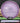 MVP Watt Proton Purple/Silver 166g