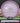MVP Watt Proton Purple/Silver 174g