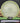 MVP Watt Proton Yellow/Silver 173g
