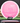 MVP Wave Neutron Pink/Silver 164g